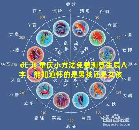 🐧 重庆小方法免费测算生辰八字，能知道怀的是男孩还是女孩